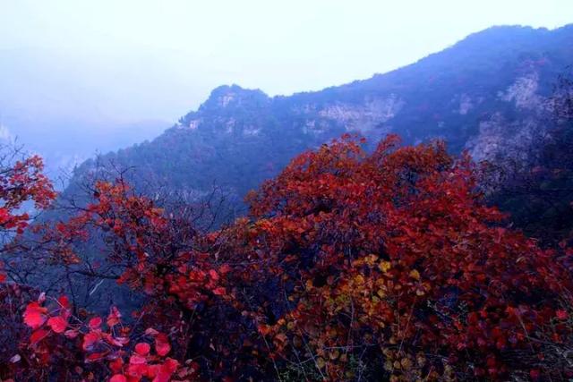 表里有山河猜成语_山河表里图片(3)