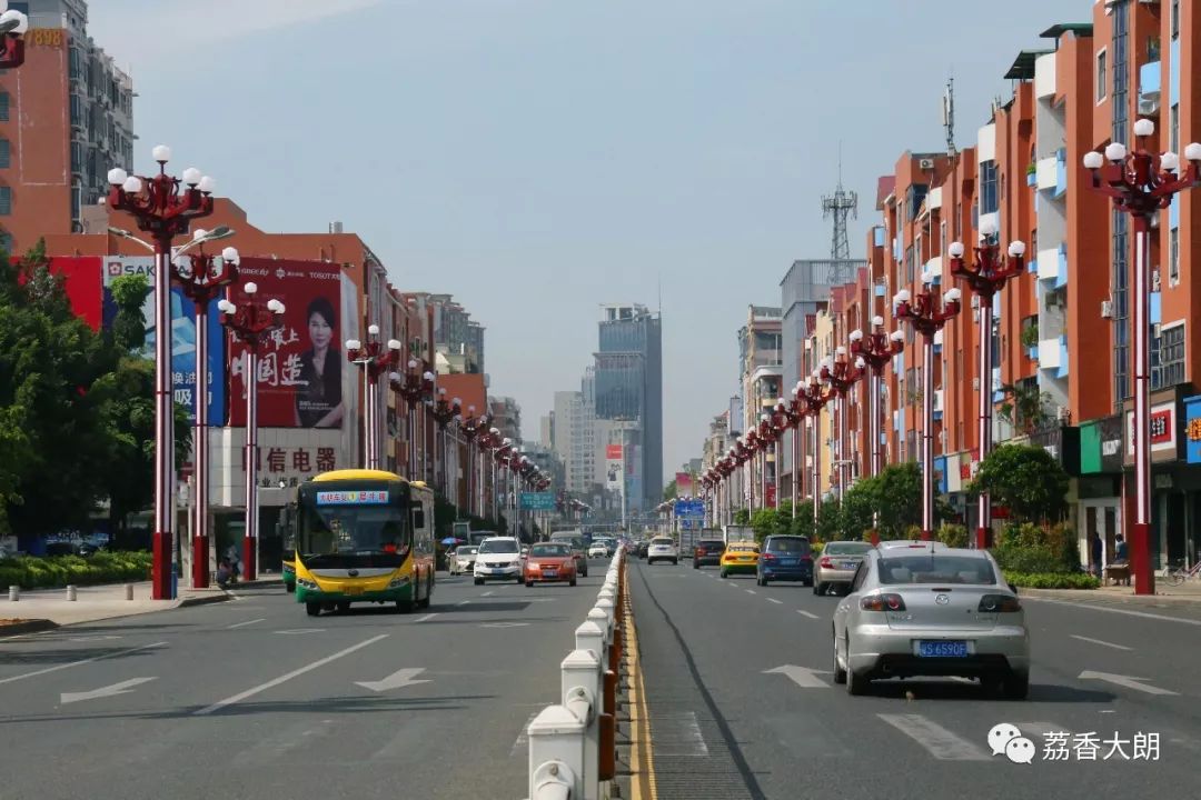 大朗专题研究道路交通安全