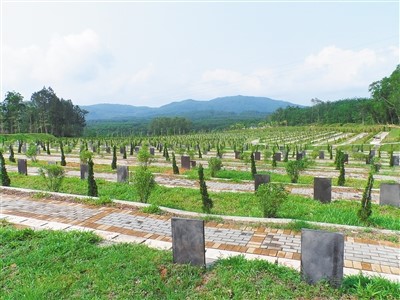 海南省詹州市推行生态葬,叫好不叫座,小型墓地墓碑成过渡品