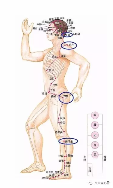 为何女人先胖腿,男人先胖肚?知道真相,忍