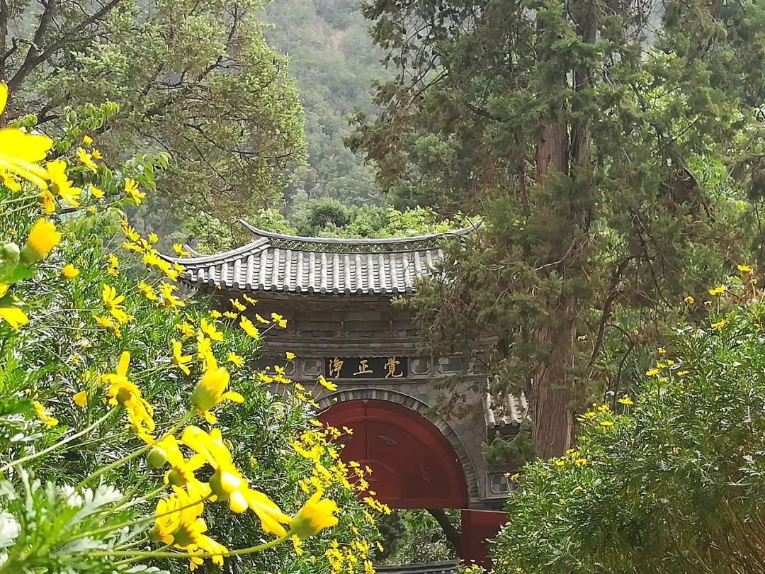 功德千古唯应舍, 游学圣地鸡足山. 参观妙境大士阁, 顶礼膜拜报恩寺.