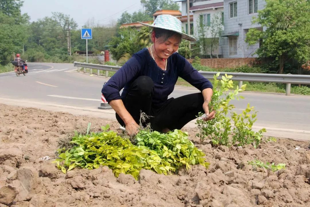 重磅!乐山又一条公路即将建成!5月下旬通车,沿