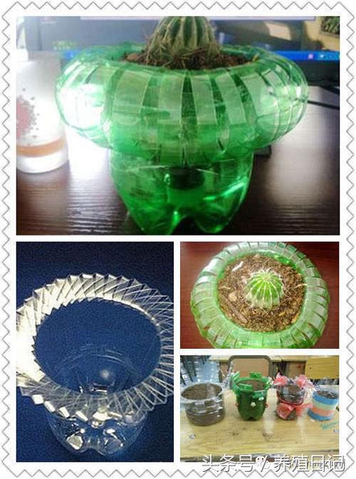 技巧|用废弃的塑料瓶自己diy制作花盆