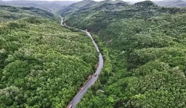 永寿槐树旅游区内有10万余亩槐树林,每当槐花盛开时节,千山竞秀,漫野