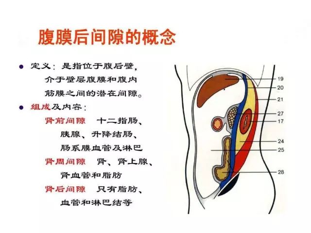 北大外科专家罗成华:腹膜后肿瘤的手术治疗策