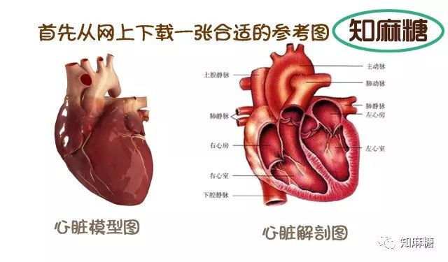 绘画教程—草莓vs心脏