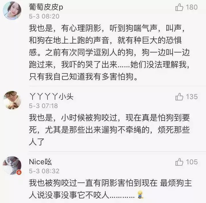 再次奉劝爱狗人士: 如果你真的爱狗, 事发后,大家不禁想问,为什么