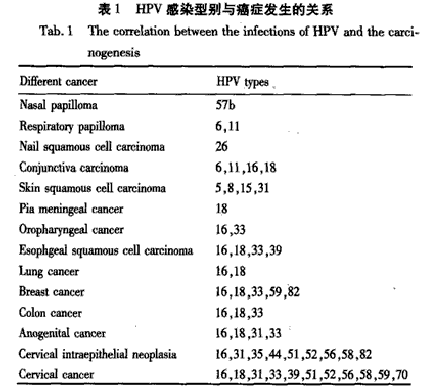 九价hpv疫苗获将上市有几个误区亟需纠正