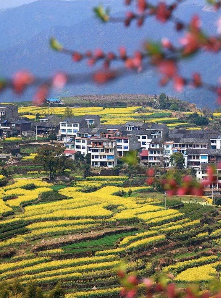 宁海县桑洲南山花语旅游精品线1日游◎宁海县胡陈灵动乡野1日游◎慈溪