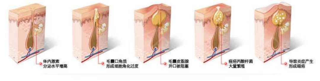 要花多少钱，才可以50岁的时候有许晴这个状态？