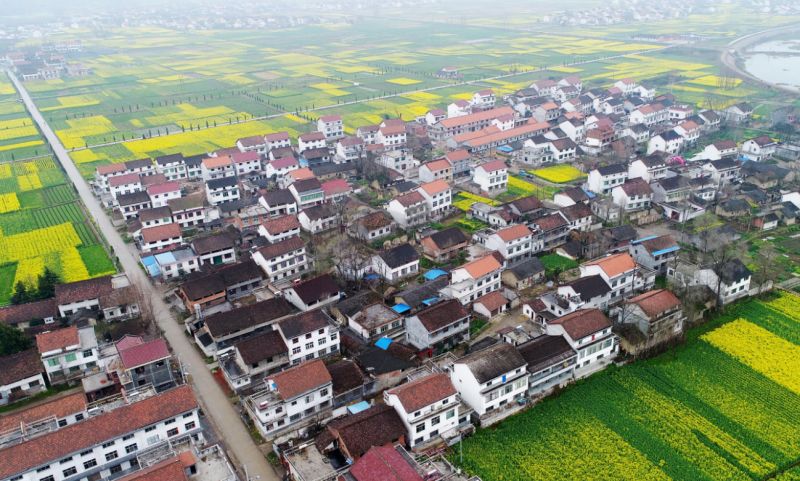 厦门城中村居住人口数据_厦门城中村巷子图片(3)