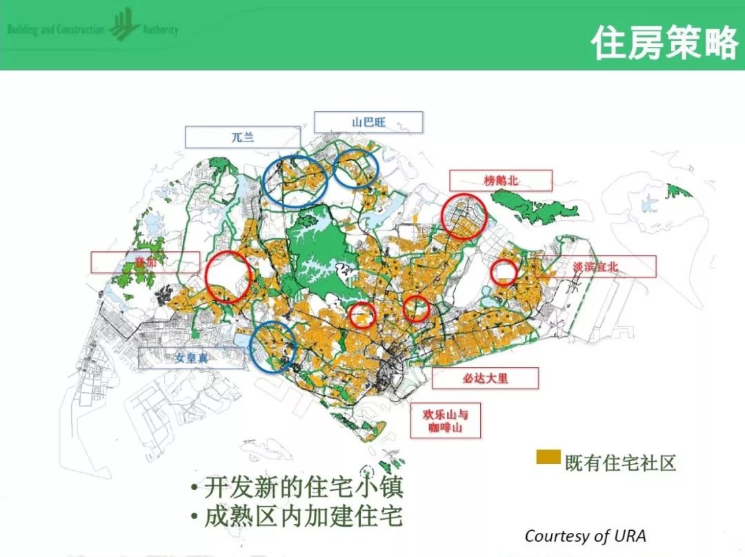 新加坡人口增长_新加坡人口结构占比图