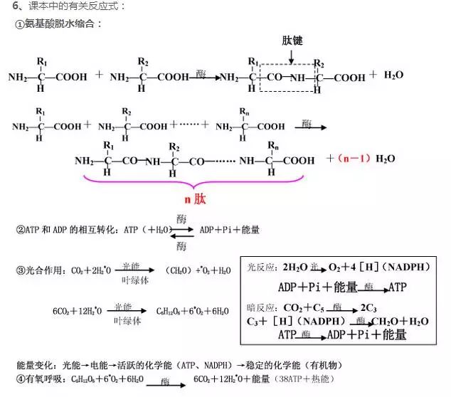 技巧丨高中生物计算题固定公式,这些你需要知道!