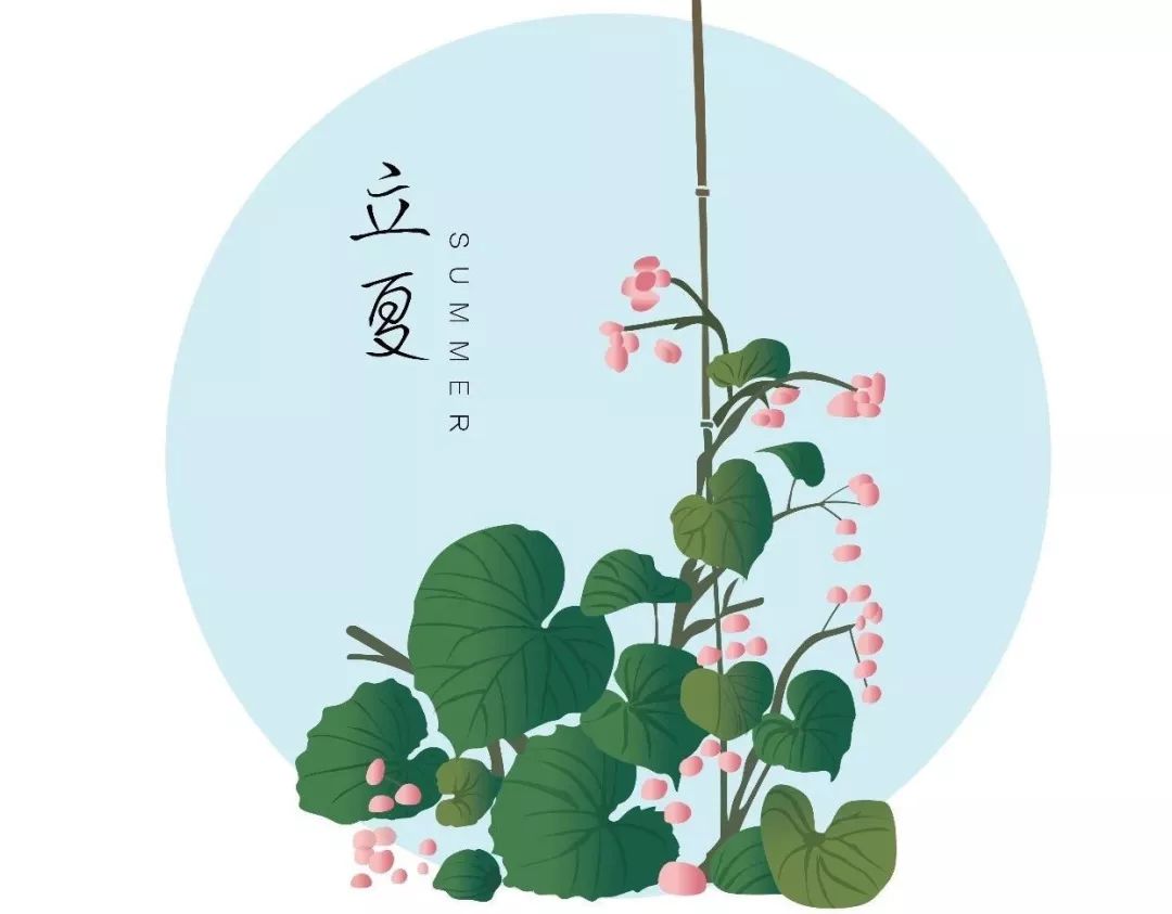 高小微:立夏,确认过天气,是种树的日子!