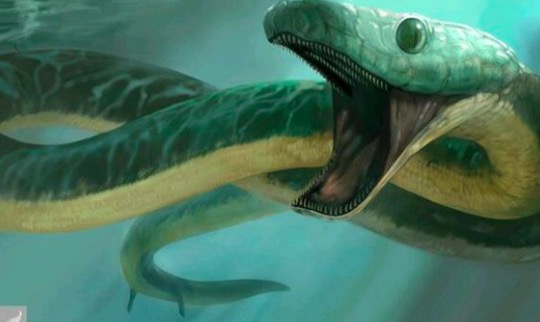 在漫长进化史上 蛇为什么失去了四肢