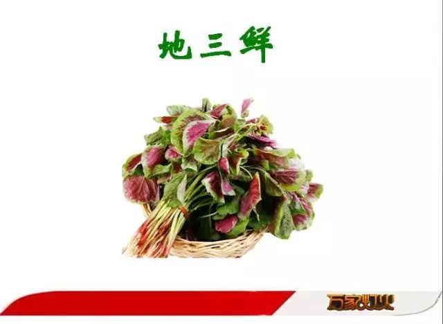 长寿菜,快乐豆.今日立夏,一定要吃这些菜!错过等一年