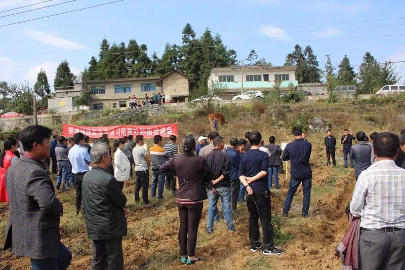 柳塘镇:新时代农民讲习所助推产业脱贫