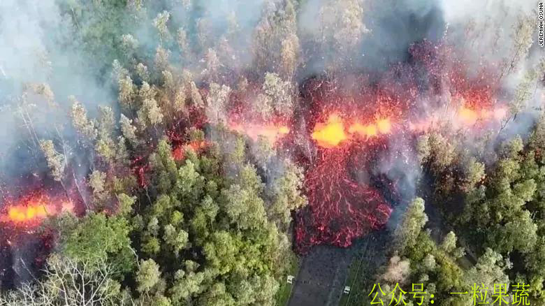 62年人口大爆发_美国17年蝉大爆发