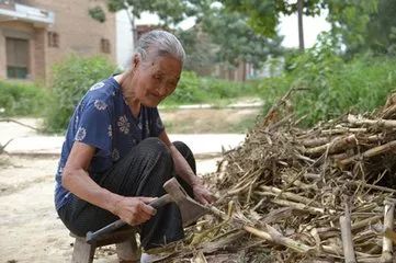 漳浦县各乡镇人口_漳浦县各乡镇投放的红苹果漆部分路牌广告-漳浦红苹果漆敢