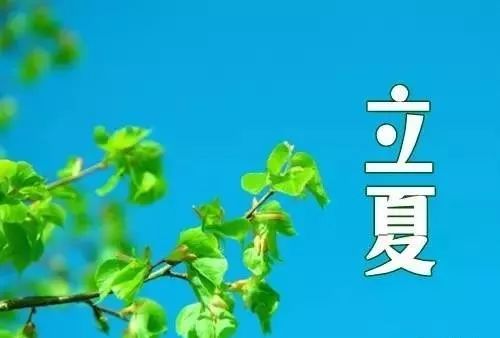 立夏到,最美的祝福送给最好的朋友,祝你幸福不止不止一"夏"