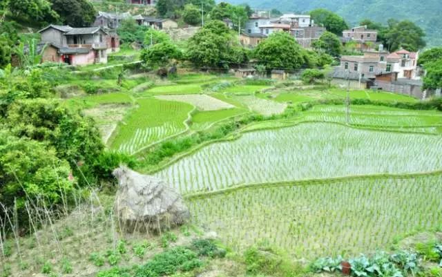 台州2006年农村人口_台州市黄岩区南城街道新桥头村