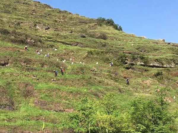 走进丰都兴义镇双桂场村,一幅新农村画卷正在徐徐展开