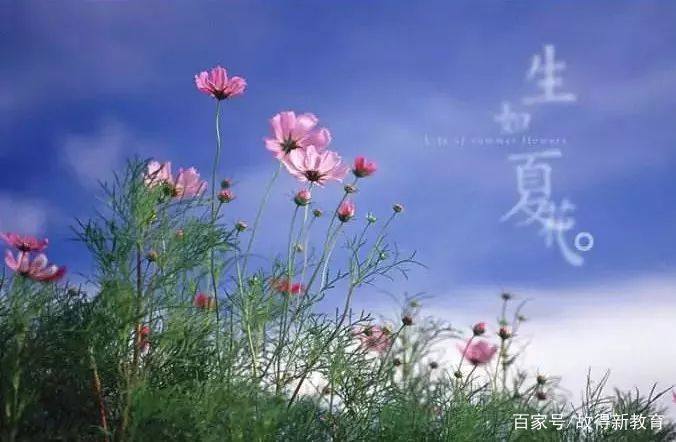 生如夏花⊙生如【夏】花—故得解字