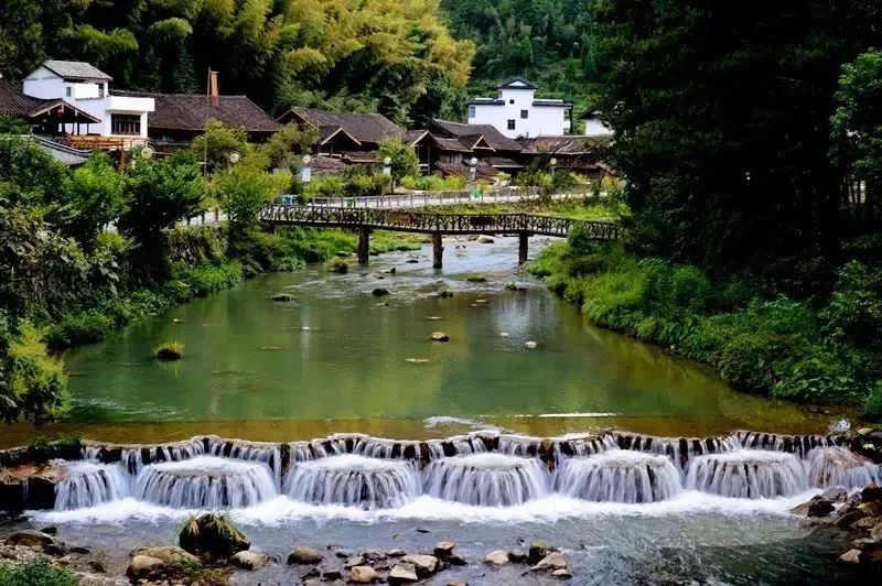 旅游 正文  去龙井村赏茶,定是要骑行前往,且不说龙井茶之名是如何