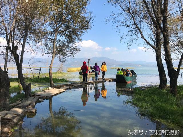 大理市有多少外来人口_薛之谦天外来物图片