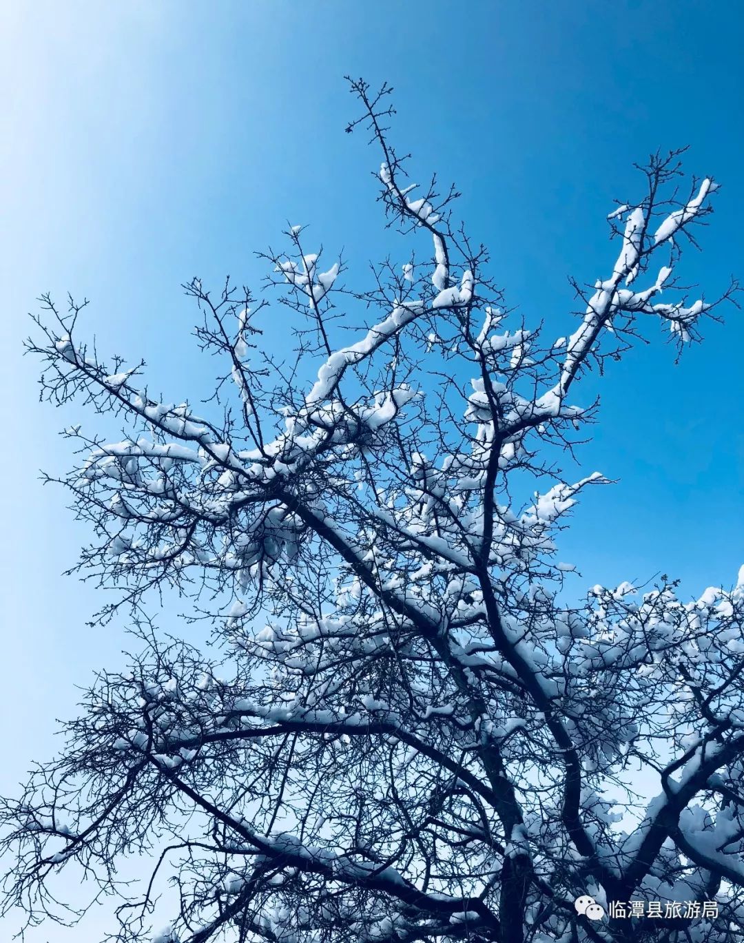 临潭的夏,静谧如冬