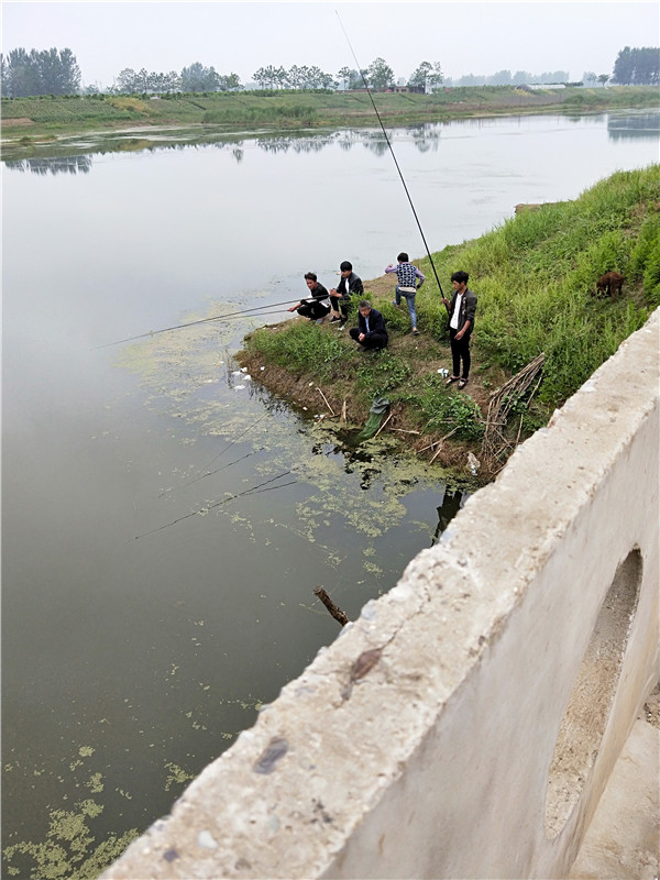 三三两两的农村人在河边钓鱼,虽然没有大鱼,但乐趣只有他们自己知道