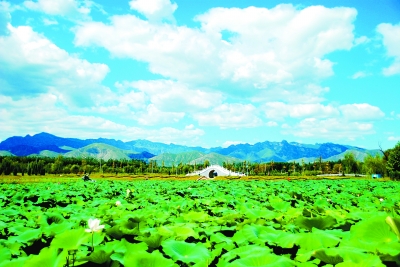 长沟泉水国家湿地公园龙泉湖一景.北京市园林绿化局供图