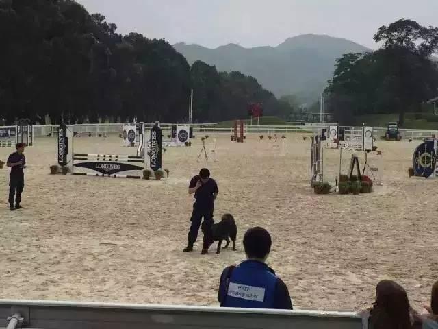 香港人口多少万_香港人口