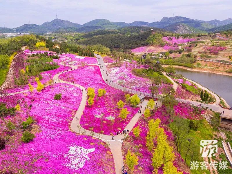 走进大花园|游旅顺英歌石植物园