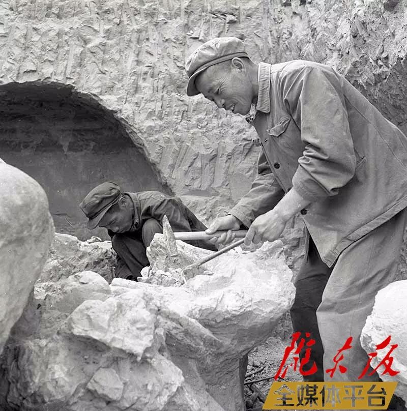 合水黄河象化石出土45周年这里有一些珍贵老照片值得收藏