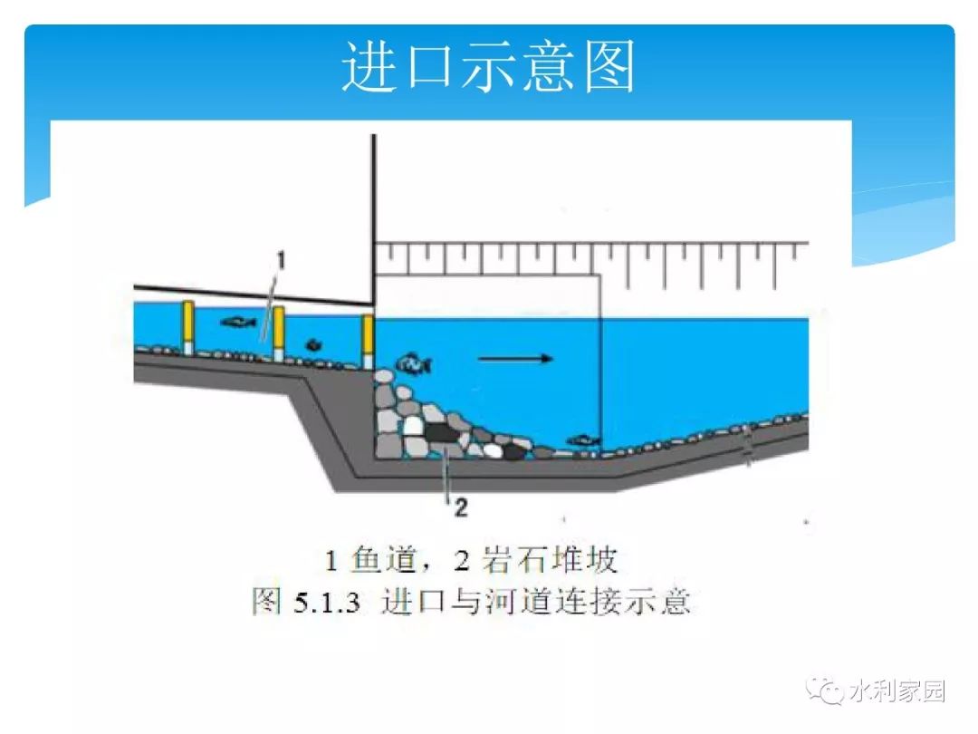 鱼道的分类定义