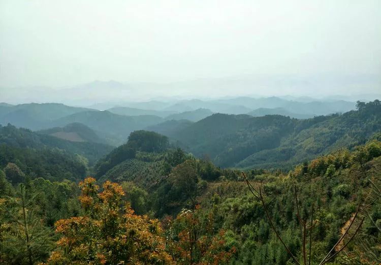 雪峰寺位于峡阳西北十里处,与顺昌县建西镇相邻.