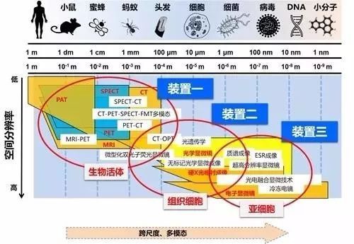 人口分子学_人口普查