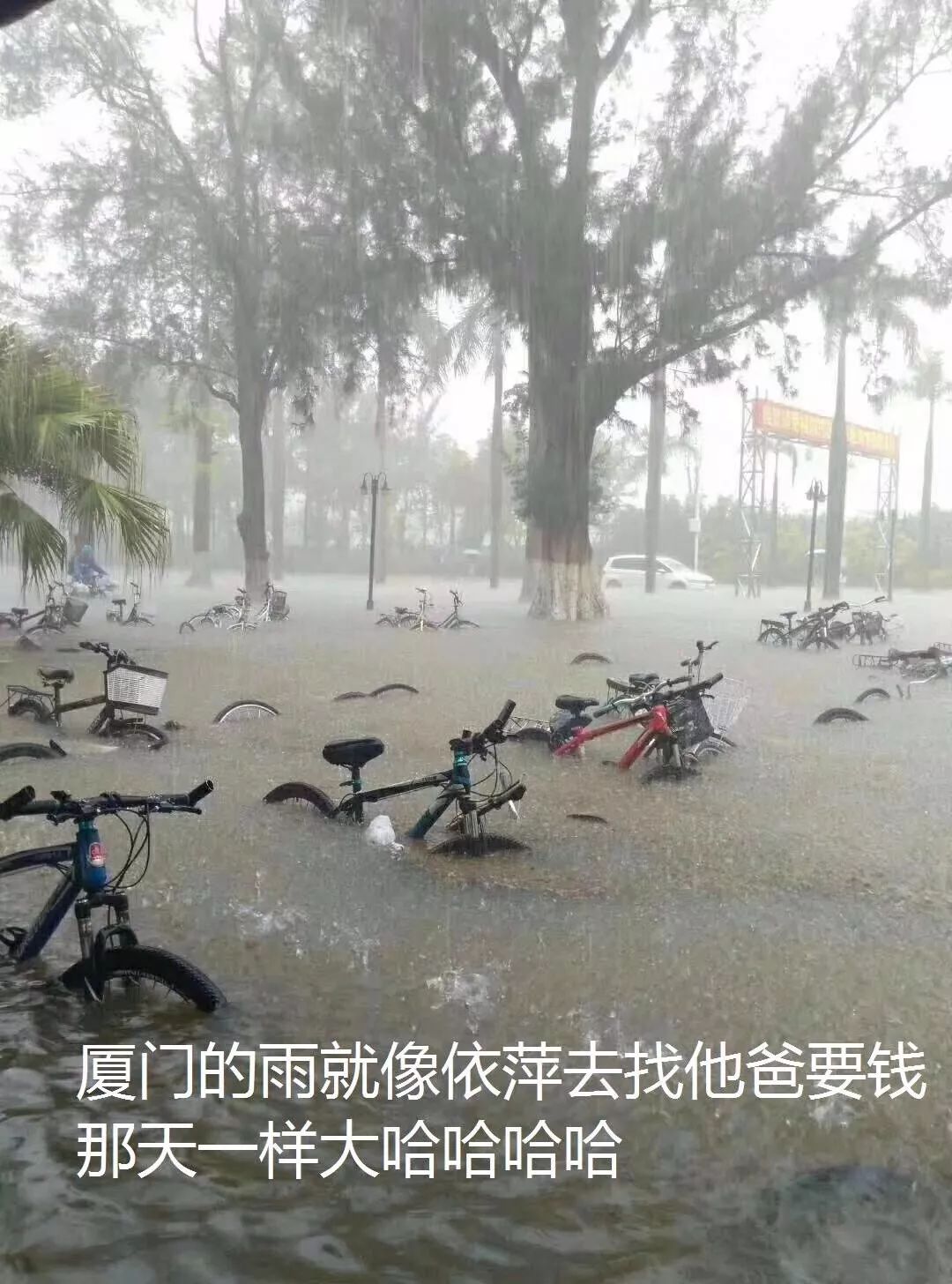 大雨如什么成语_下大雨的图片(3)