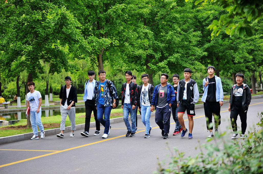 5月7日,山东科技大学校园,大学生们行走在绿叶茂盛的银杏树下.