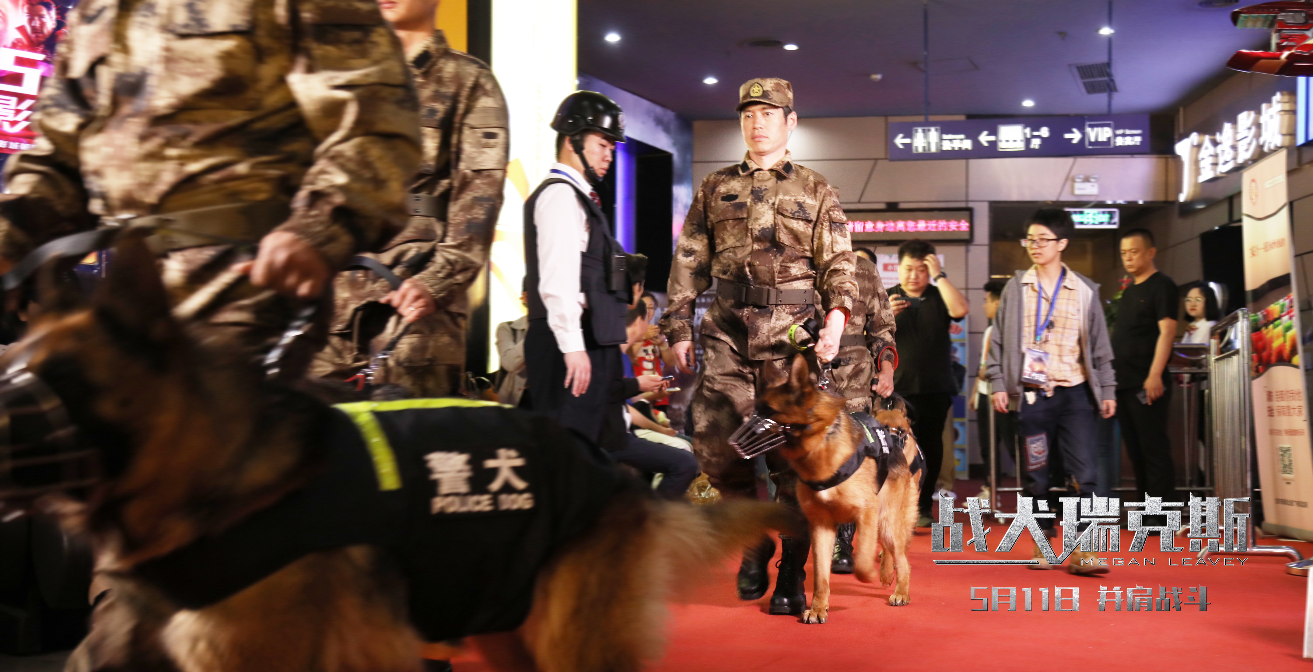 《战犬瑞克斯》北京首映礼聚焦退役军犬,首邀战地英雄