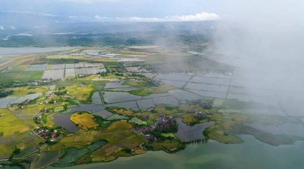 柴桑区东湖美景,烟雨水乡秀美如画