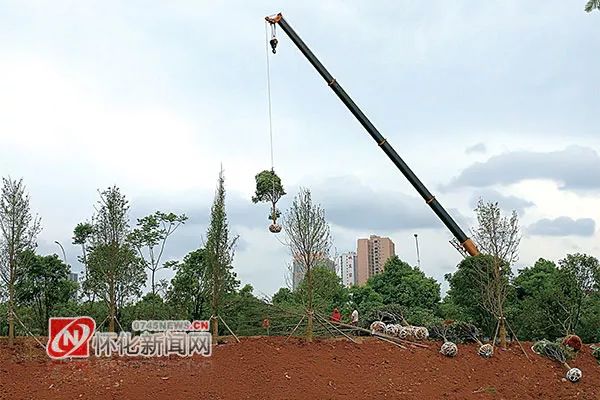 怀化市区有多少人口_怀化城区旺秀山苑小区路口成垃圾场