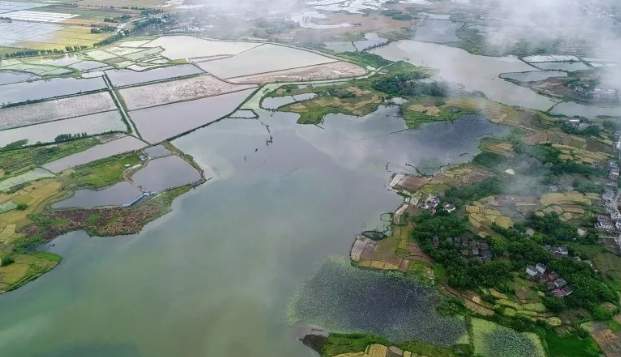 柴桑区东湖美景,烟雨水乡秀美如画