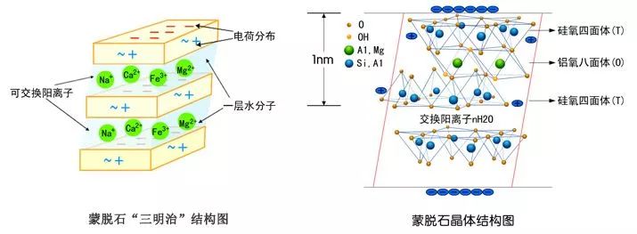 (2)蒙脱石