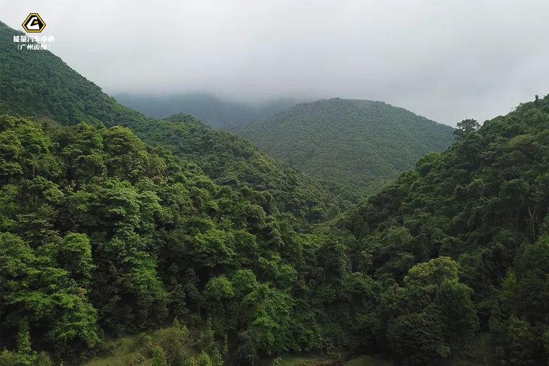 南岭山脉到了广东省腹地