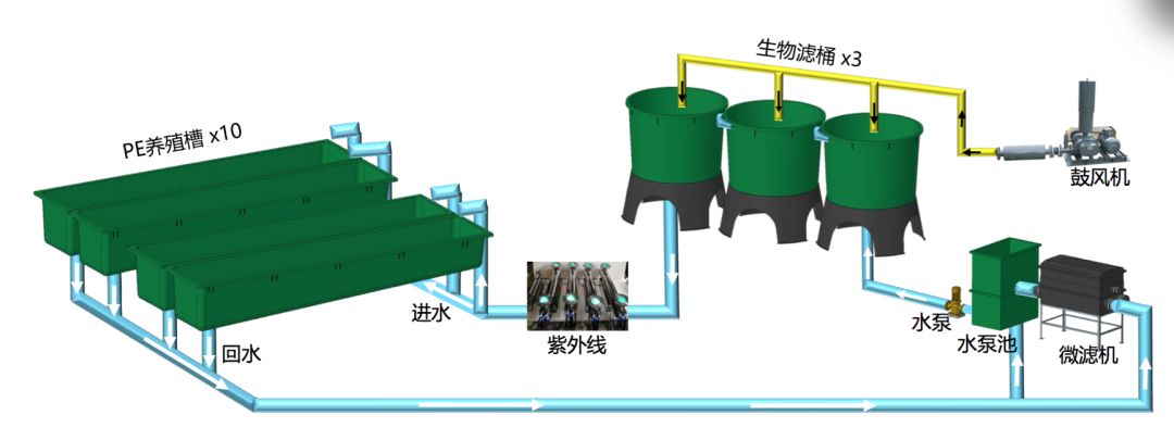 循环水养殖槽设计图展示