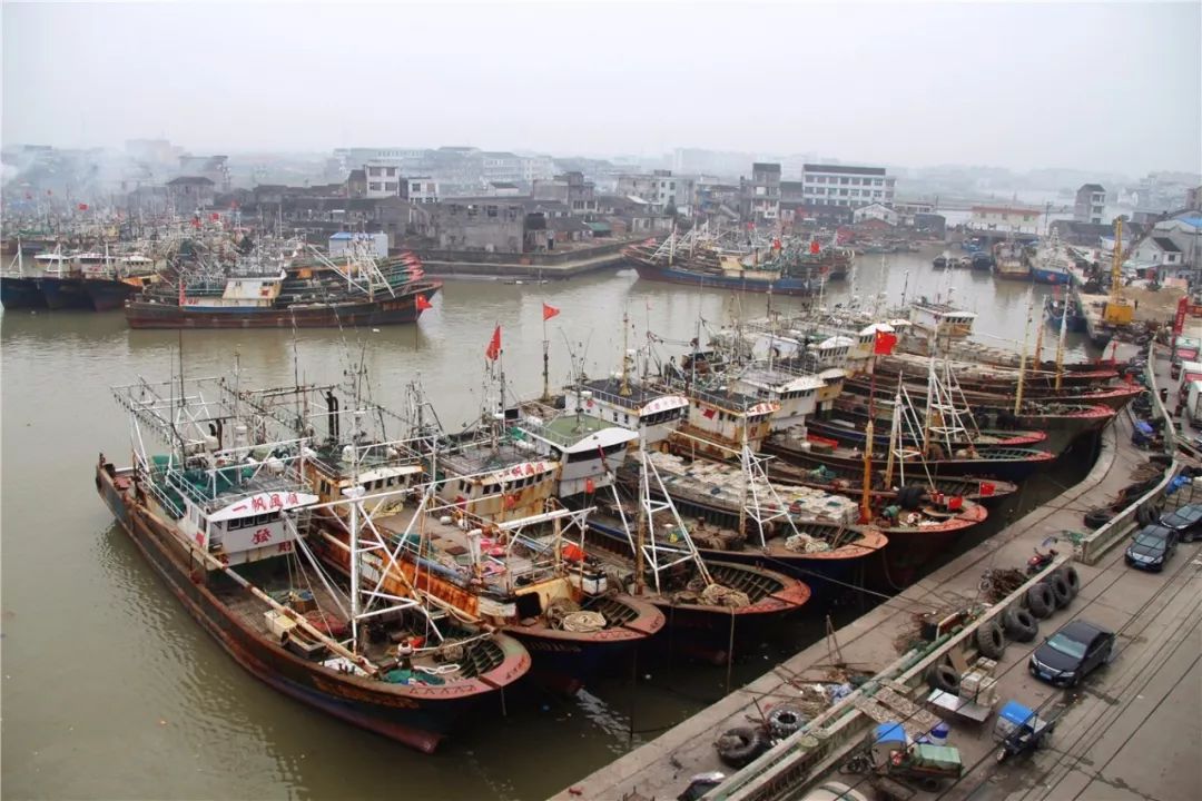 龙港巴曹渔港经济区列入国家沿海渔港建设规划