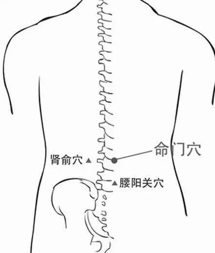 肾虚、体寒、血虚，女人抗衰老快做艾灸！ .艾灸养生