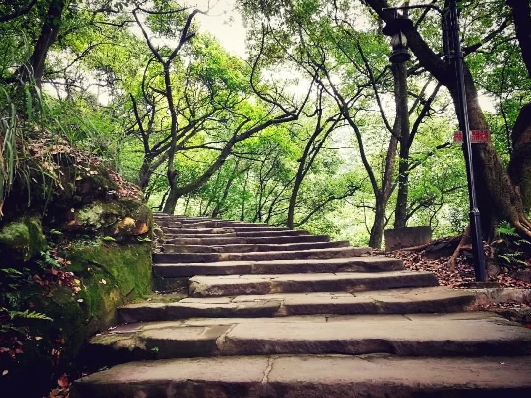 走进南山黄桷古道,让心灵在登山中得到解压